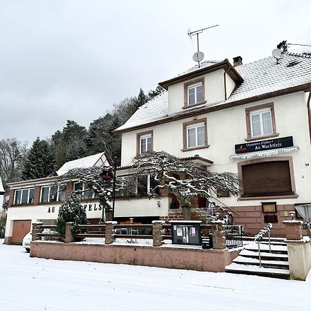 Au Wachtfels Bed and Breakfast Obersteinbach Buitenkant foto