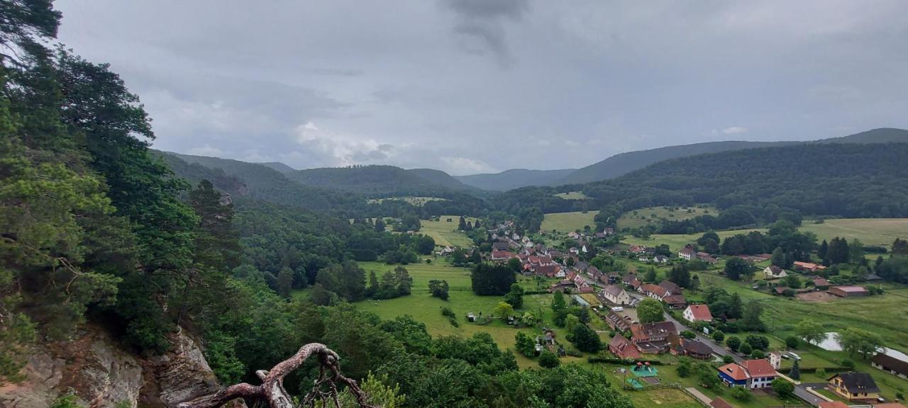 Au Wachtfels Bed and Breakfast Obersteinbach Buitenkant foto