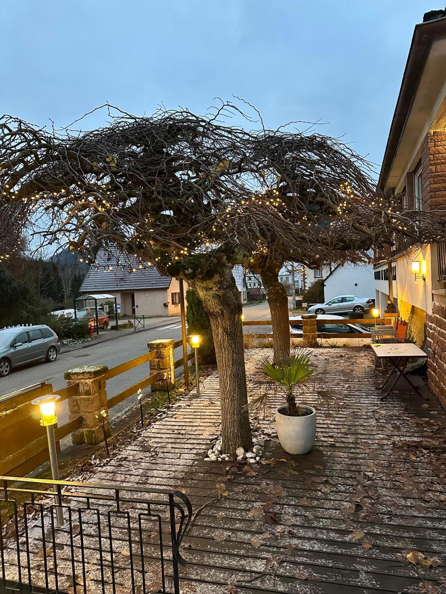 Au Wachtfels Bed and Breakfast Obersteinbach Buitenkant foto